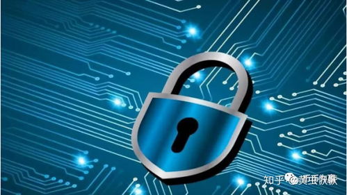 駝峰，儲的不止是水 網絡與信息安全軟件開發的戰略思考